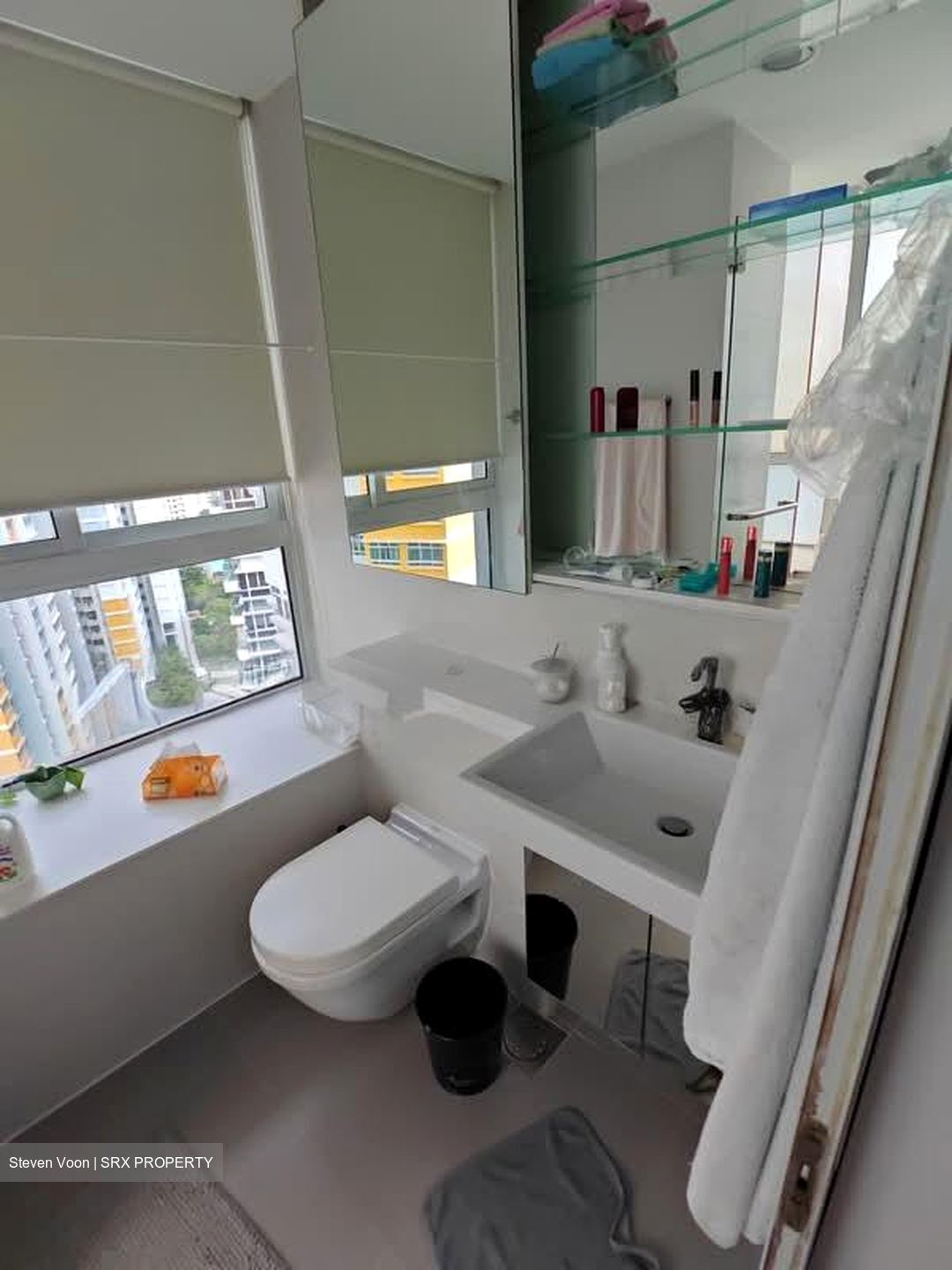 The Regency At Tiong Bahru (D3), Condominium #573429151